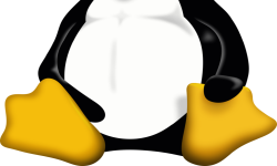 Featured image of post Linux